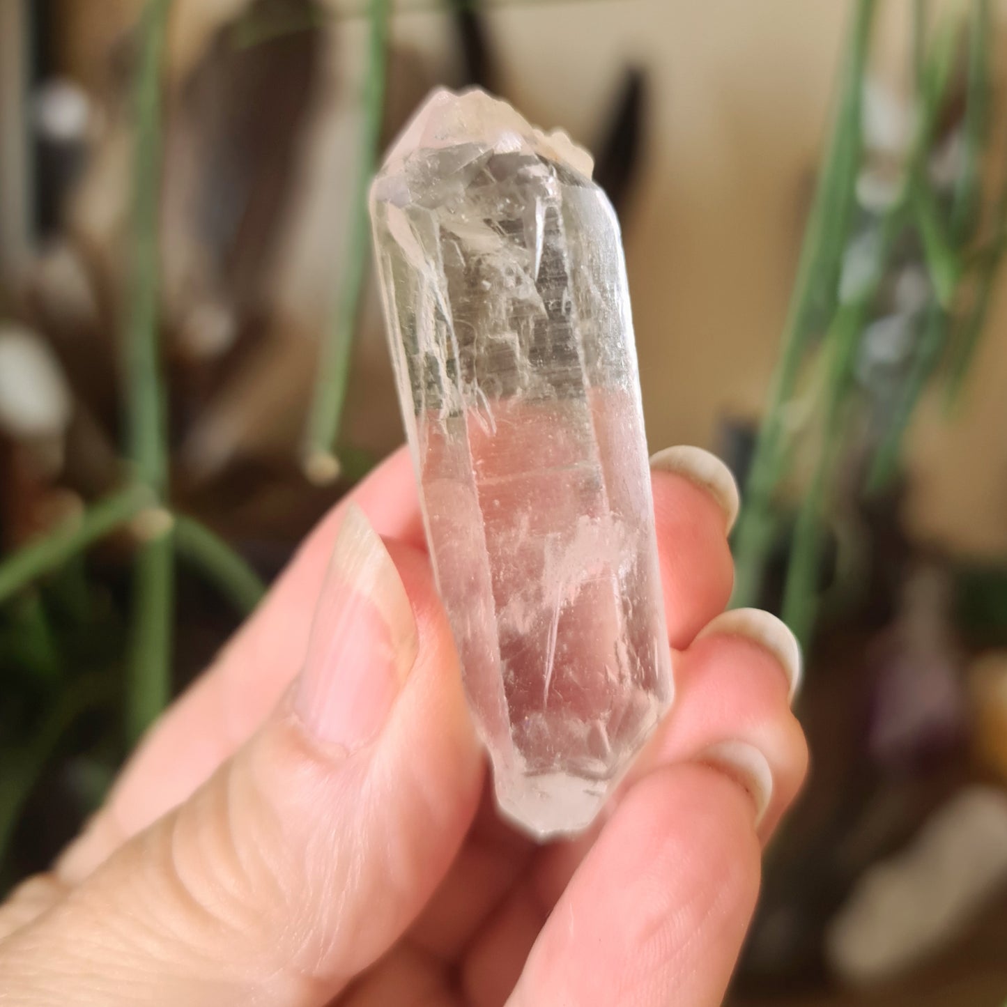 Lemurian Seed Crystal Point