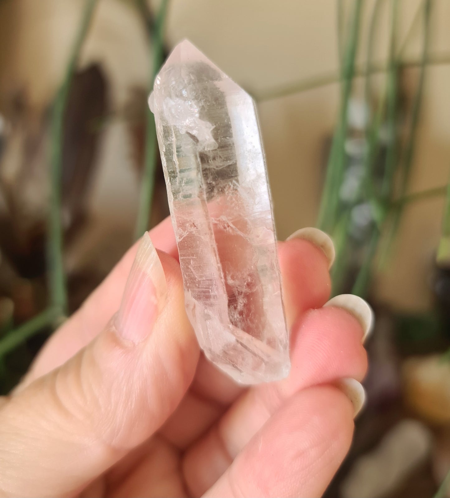 Lemurian Seed Crystal Point