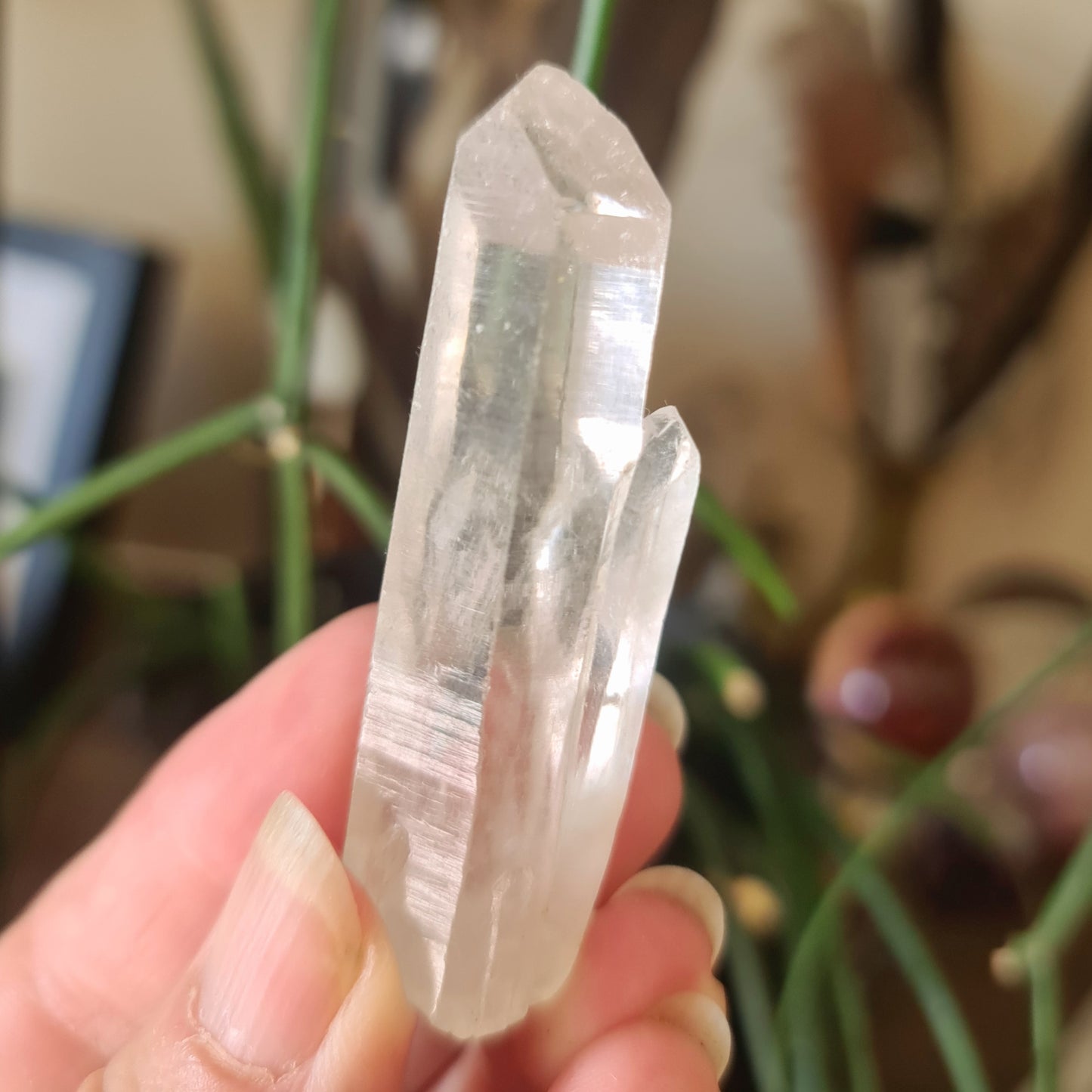 Lemurian Seed Crystal Point