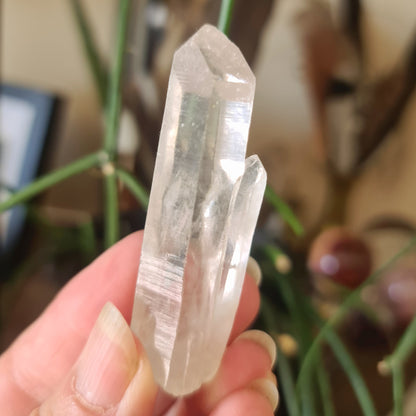 Lemurian Seed Crystal Point