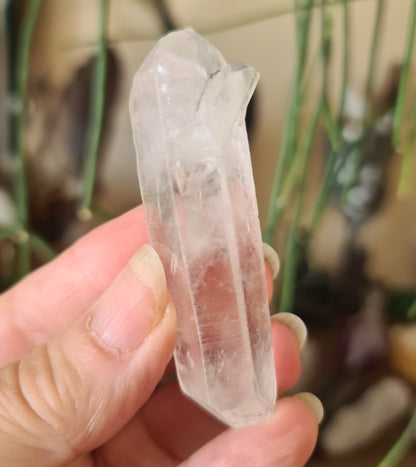 Lemurian Seed Crystal Point