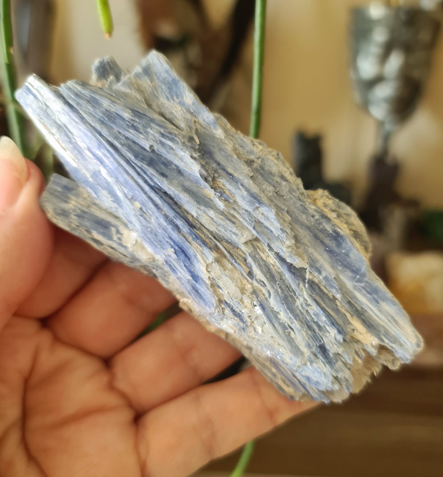 Blue Kyanite Chunk