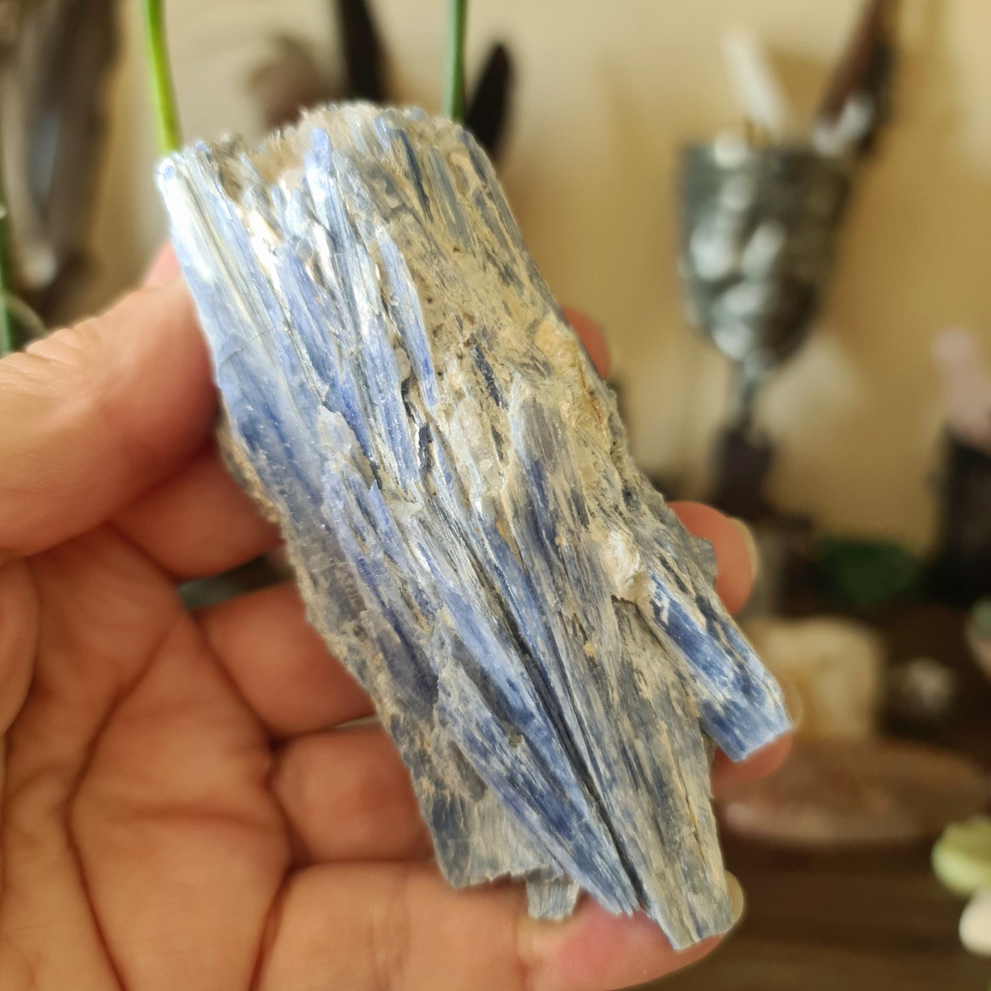 Blue Kyanite Chunk