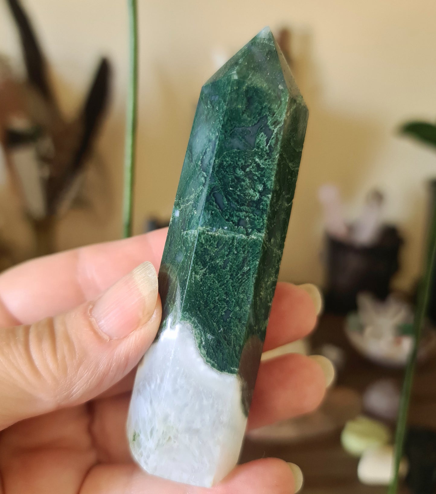 Moss Agate Point