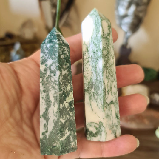 Tree Agate Point