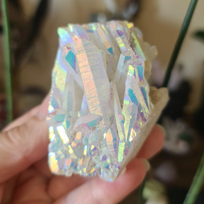 Angel Aura Quartz Clusters