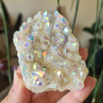 Angel Aura Quartz Clusters