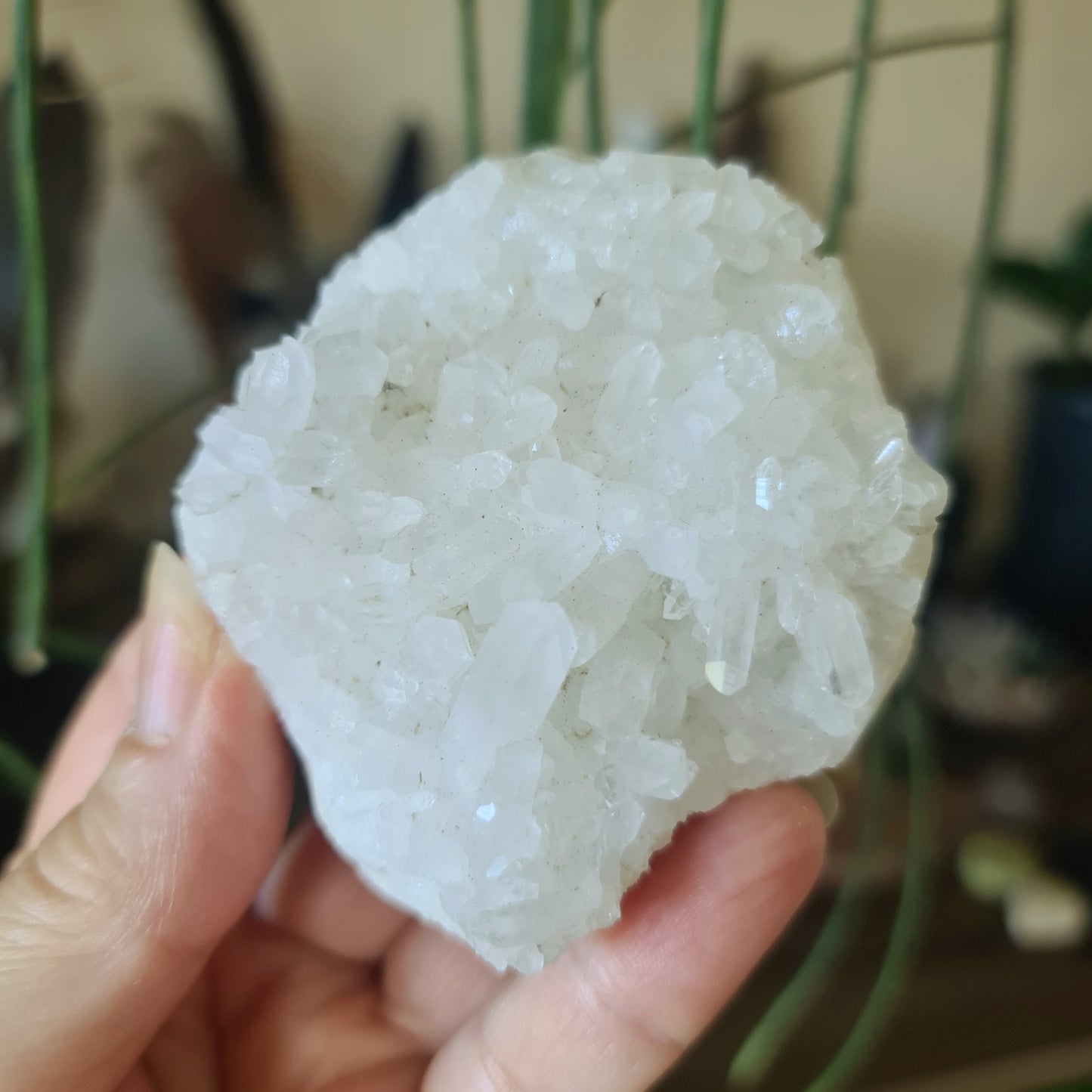 Spirit Quartz Cluster