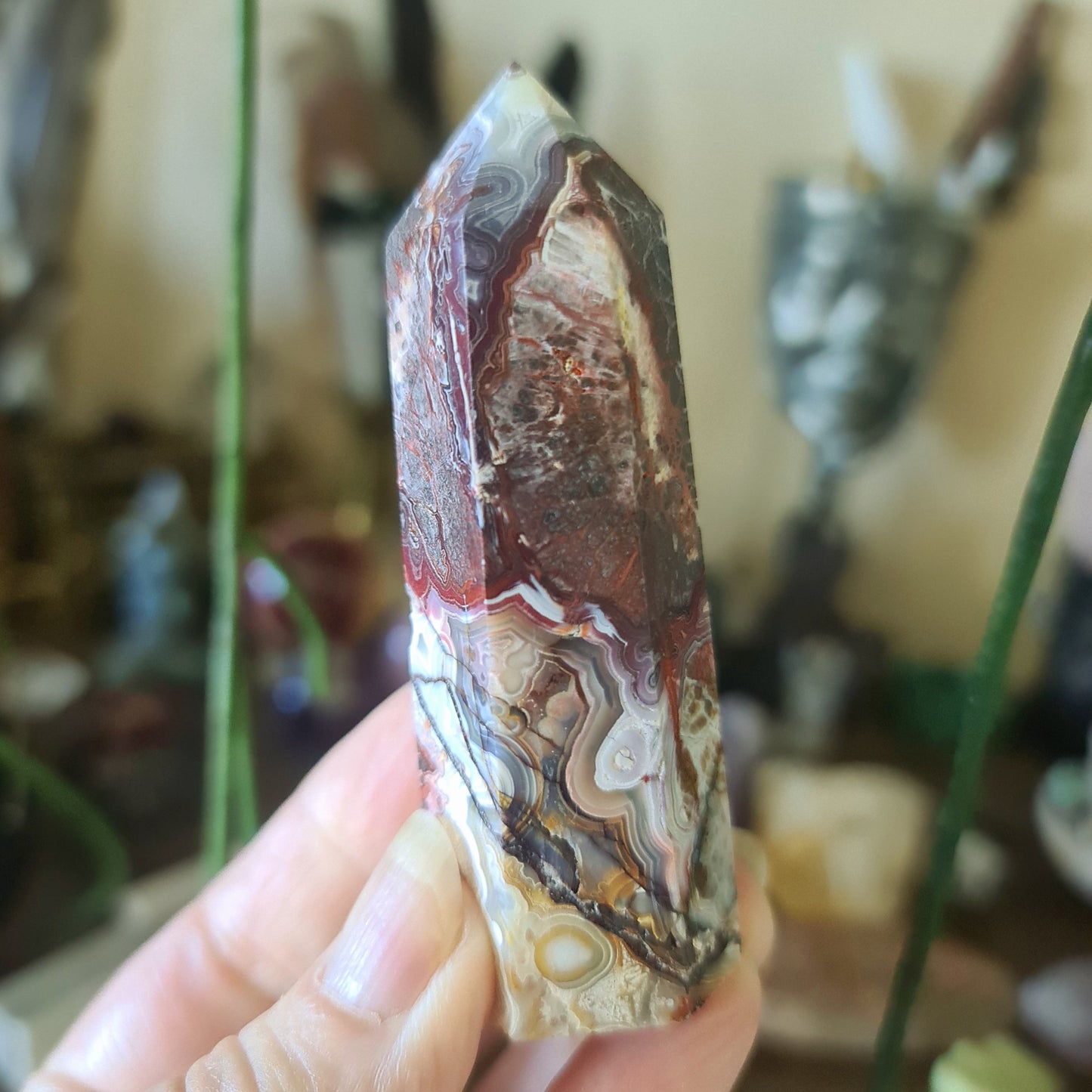 Mexican Lace Agate Point