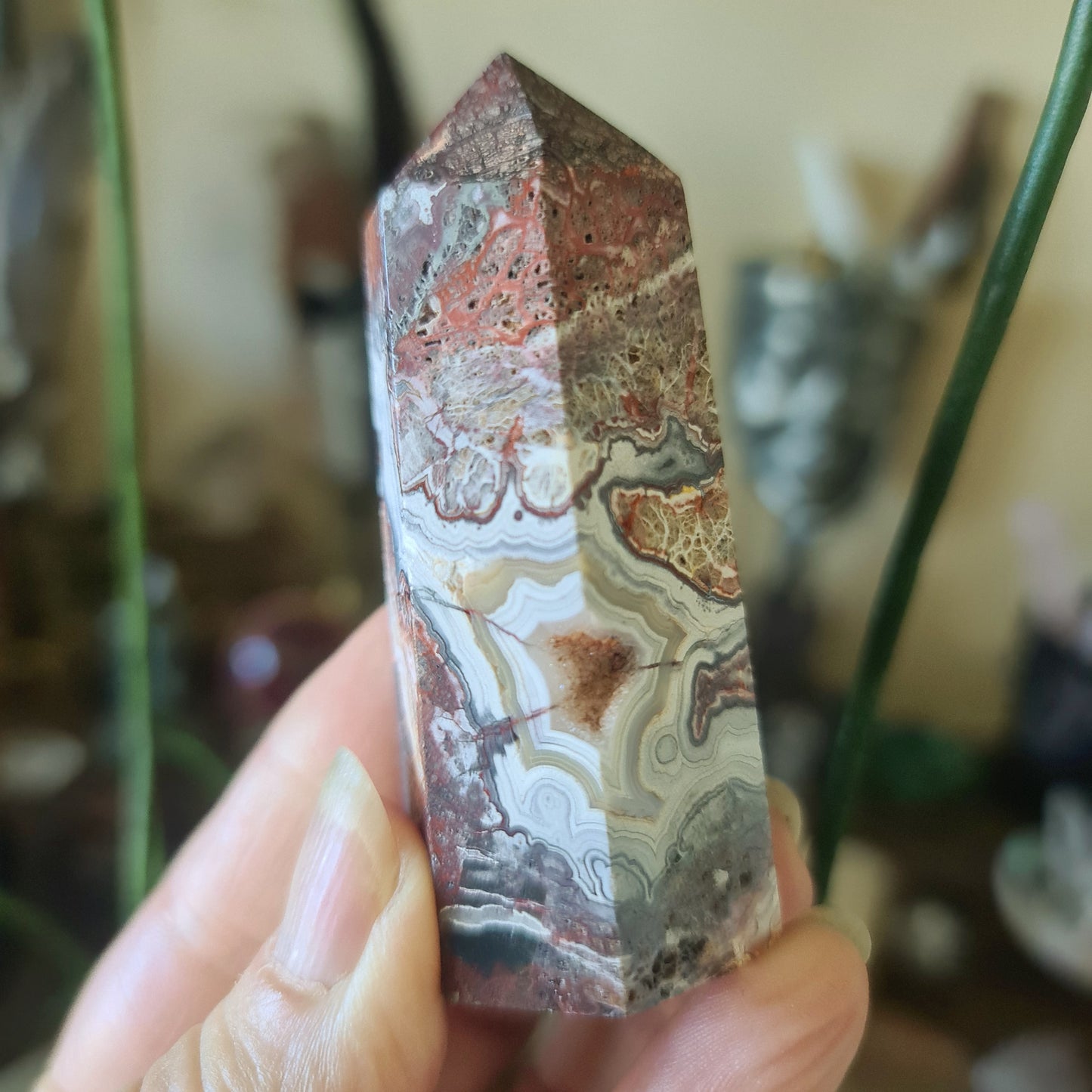Mexican Lace Agate Point
