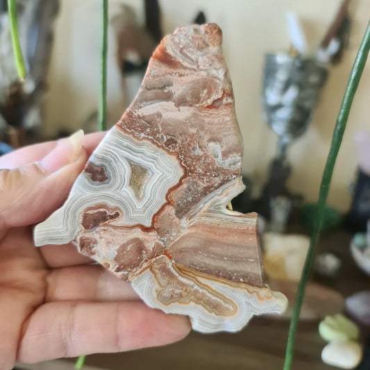 Mexican Lace Agate Slab