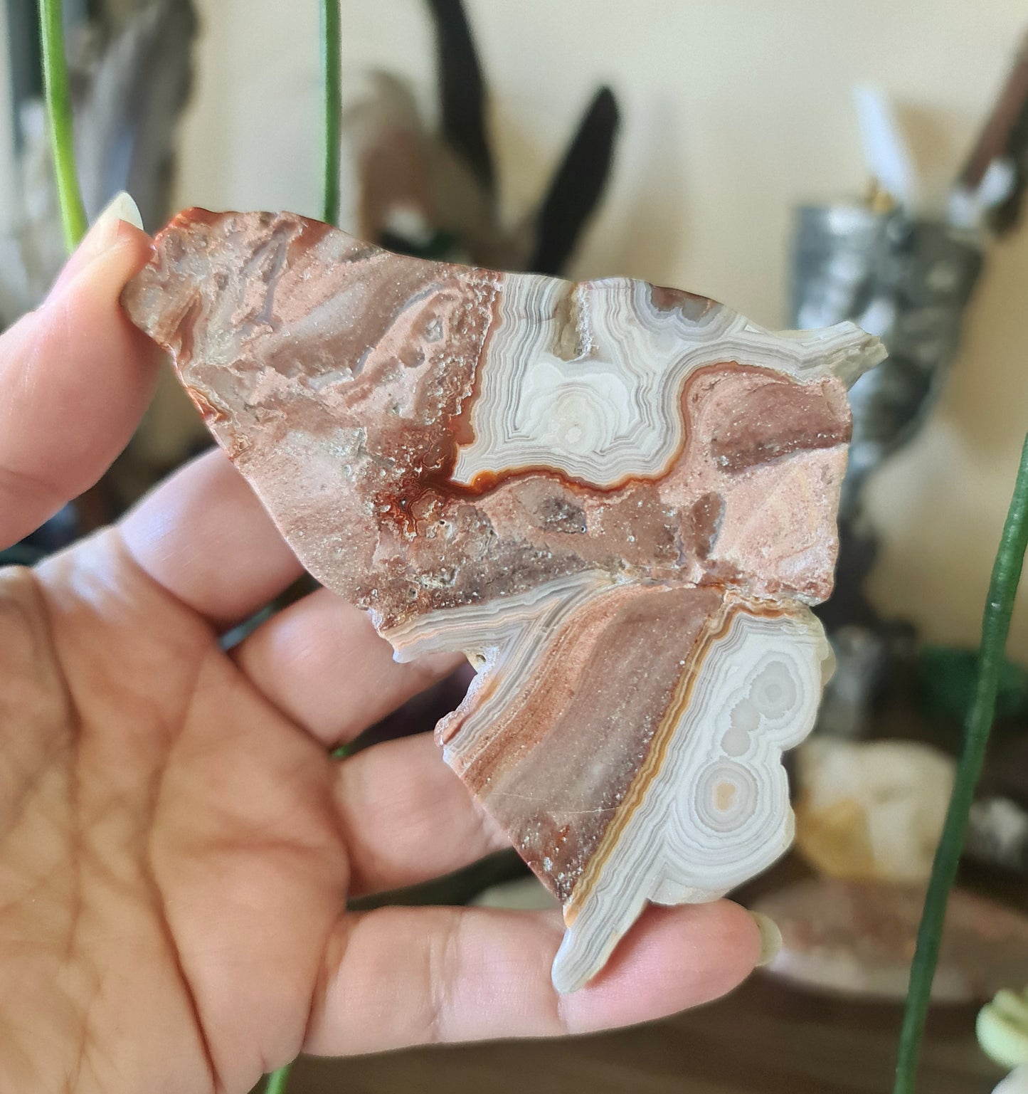 Mexican Lace Agate Slab