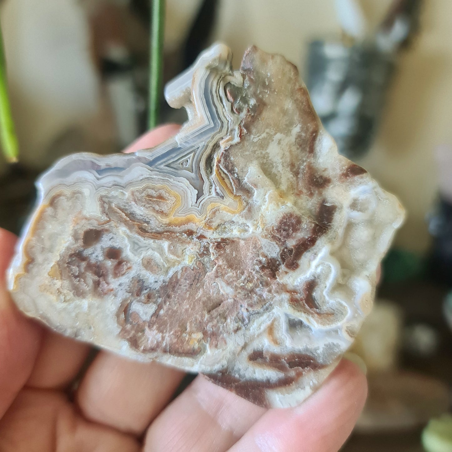 Mexican Lace Agate Slab