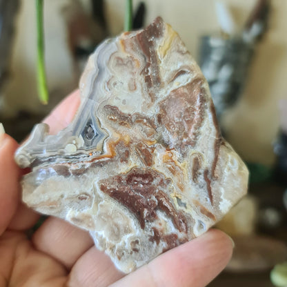 Mexican Lace Agate Slab