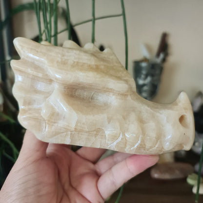 Calcite Dragon Head