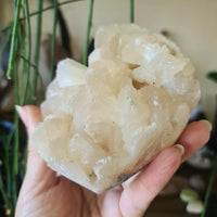 Apophyllite & Stilbite Cluster