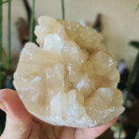 Apophyllite & Stilbite Cluster