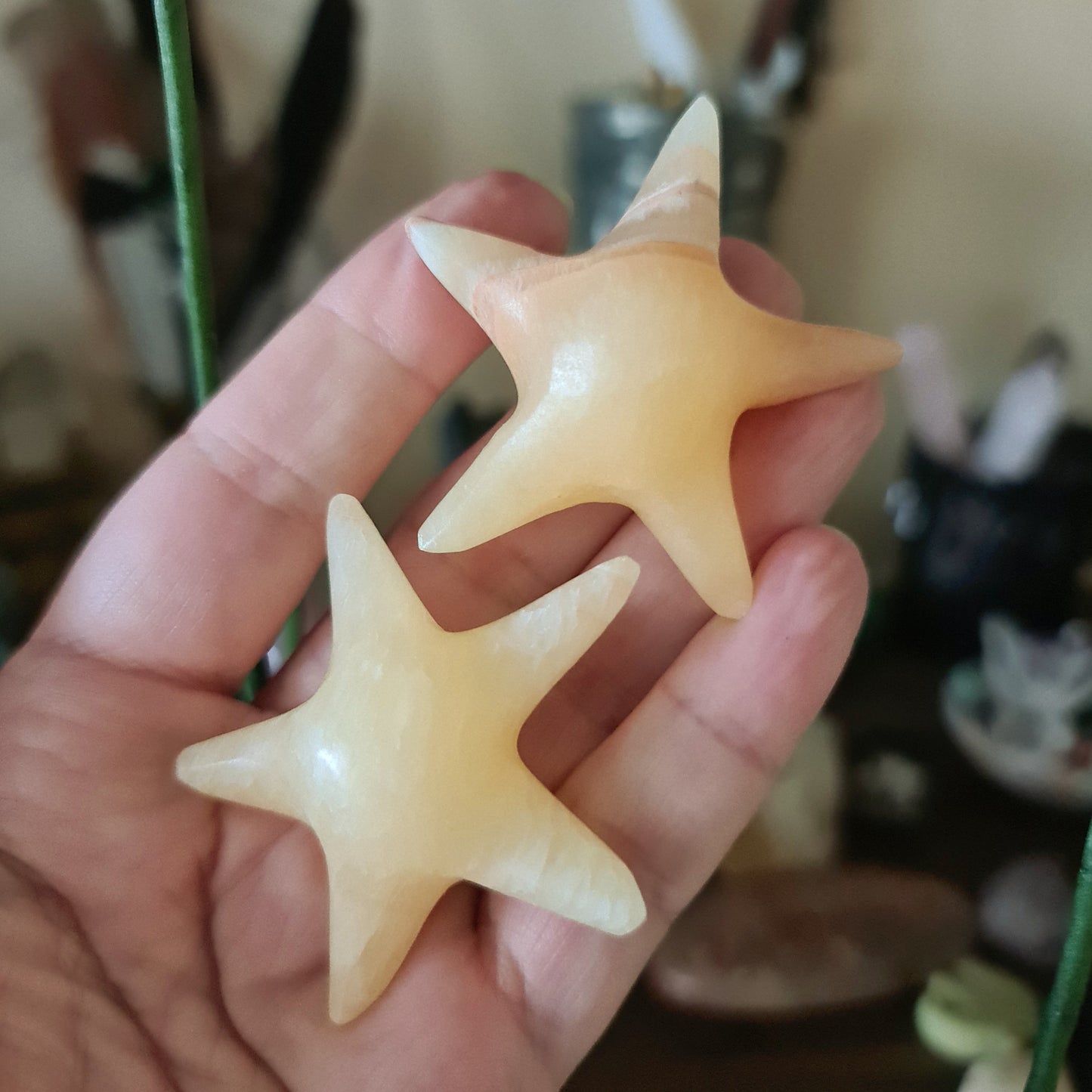 Aragonite Starfish
