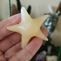 Aragonite Starfish
