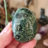 Kambaba Jasper Palm