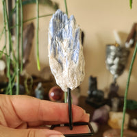 Kyanite Pin - Mini