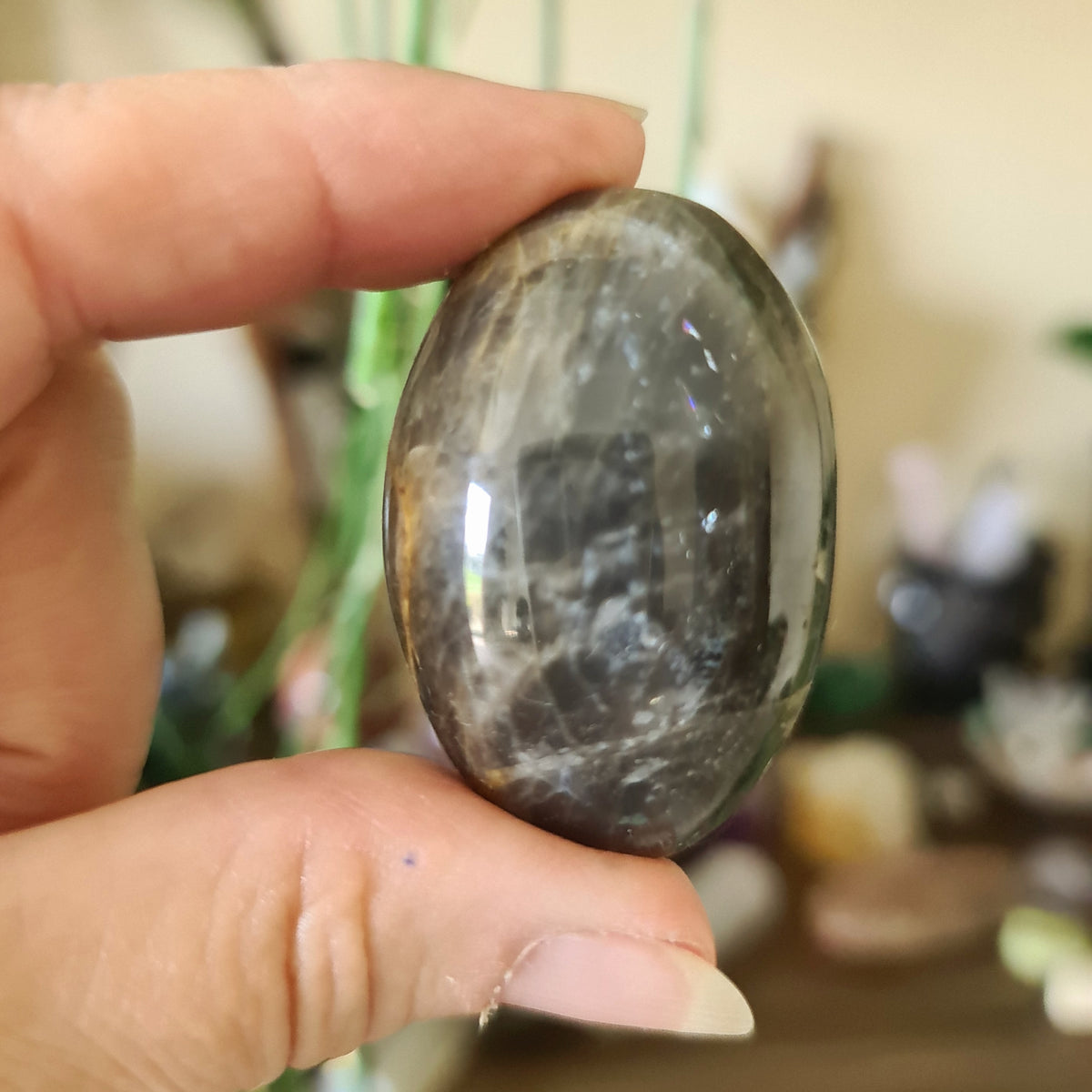 Black Moonstone Palm Stone