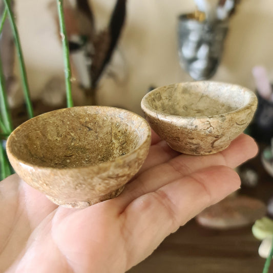 Fossil Coral Jasper Bowls