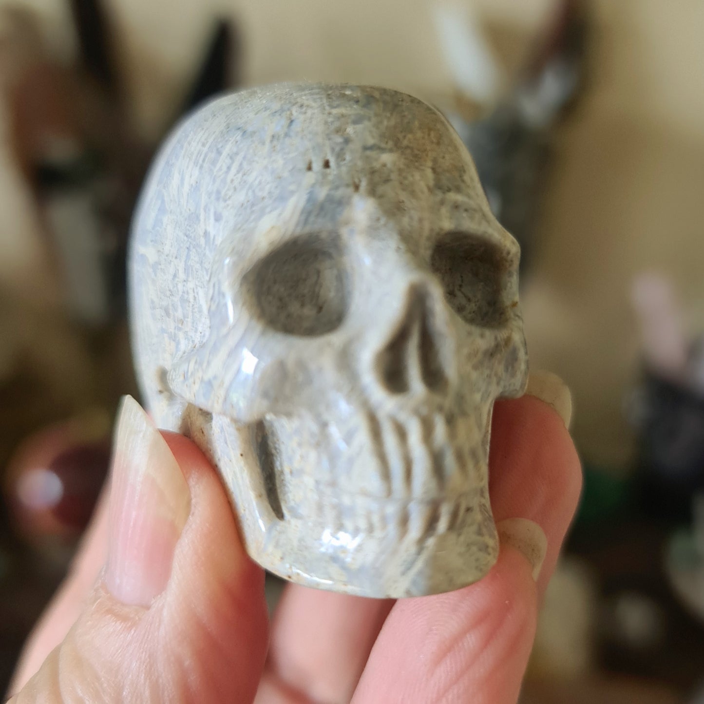 Crystal Skulls - Medium