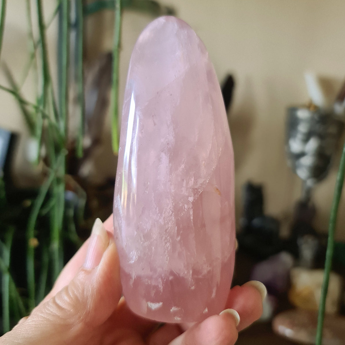 Rose Quartz Free Form