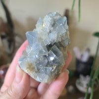 Blue Celestite Cluster