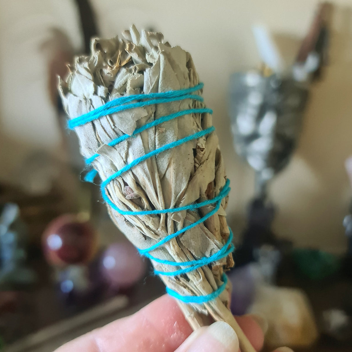 Home Cleanse Bundle