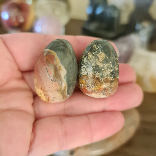 Daud Jasper Egg