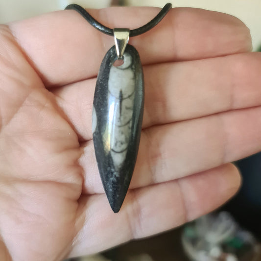 Orthoceras Pendant