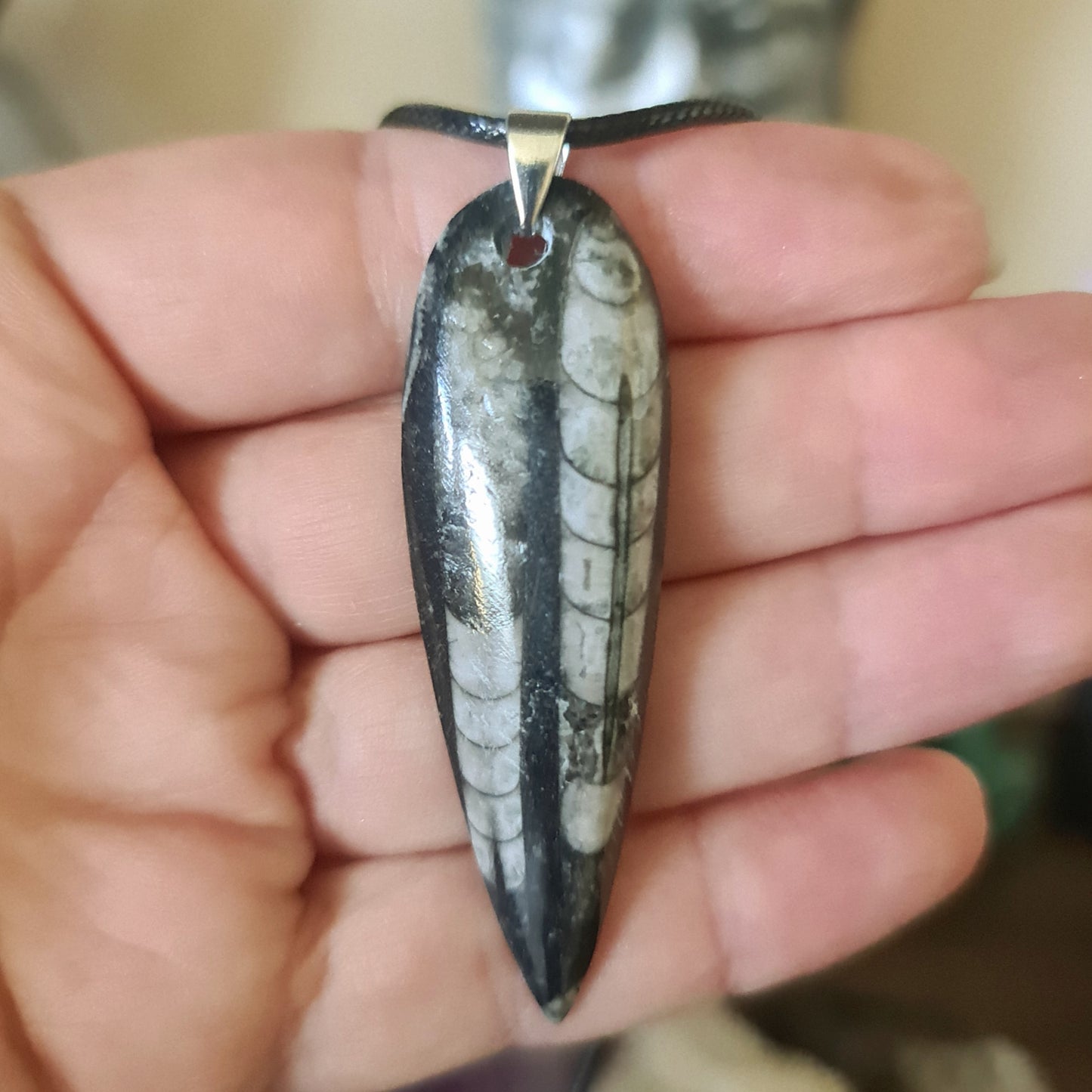 Orthoceras Pendant