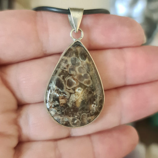 Turritella Agate Pendant