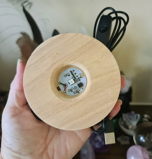 LED Light Bases
