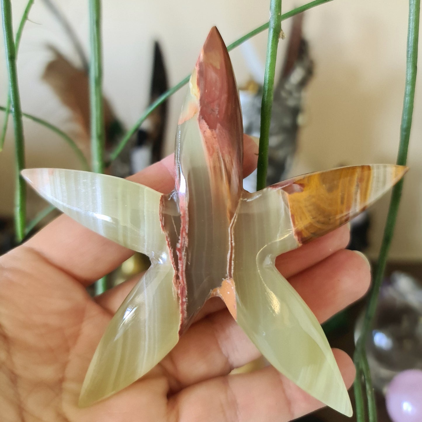 Green Onyx Starfish