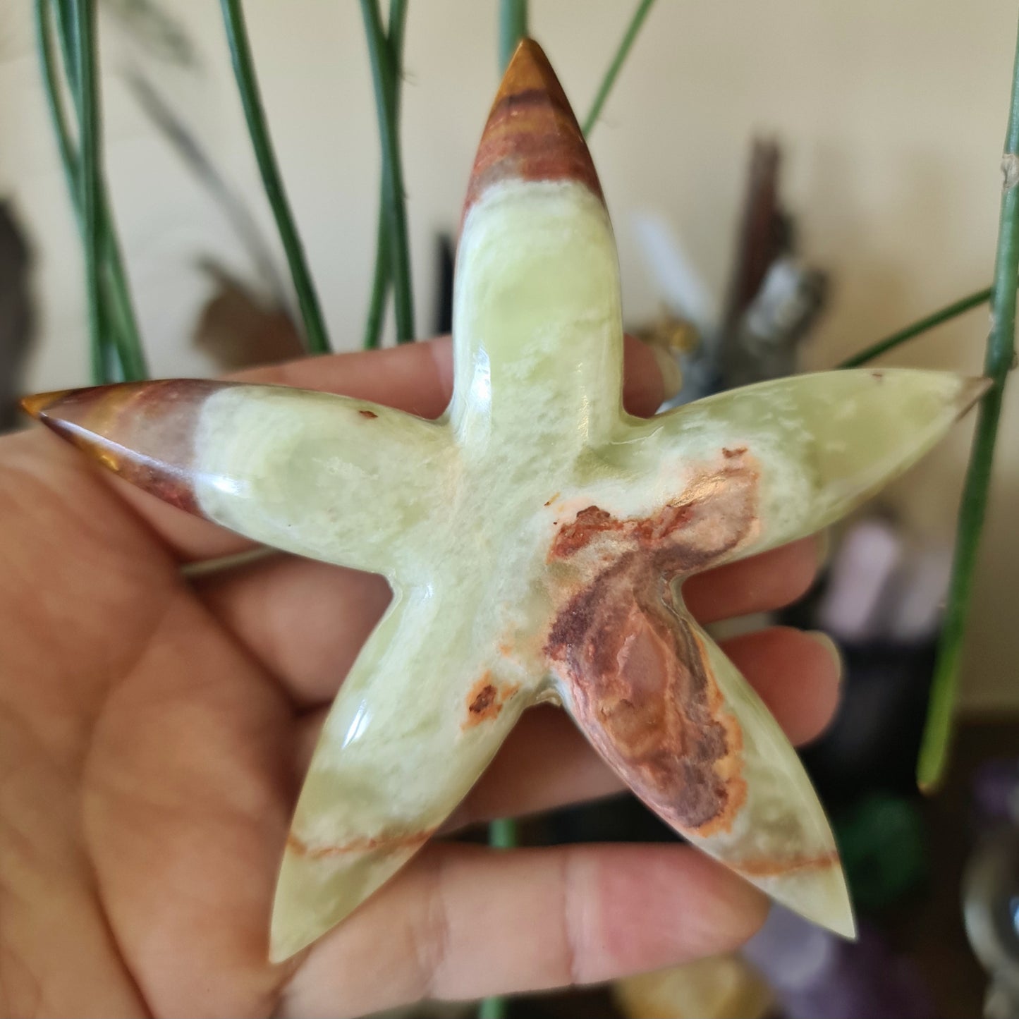 Green Onyx Starfish