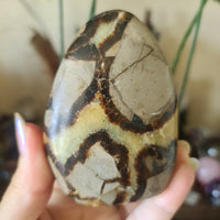 Septarian Freeform