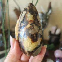 Septarian Freeform