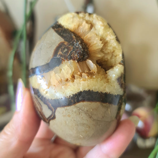 Septarian Freeform