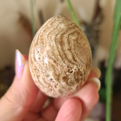 Chocolate Calcite Egg