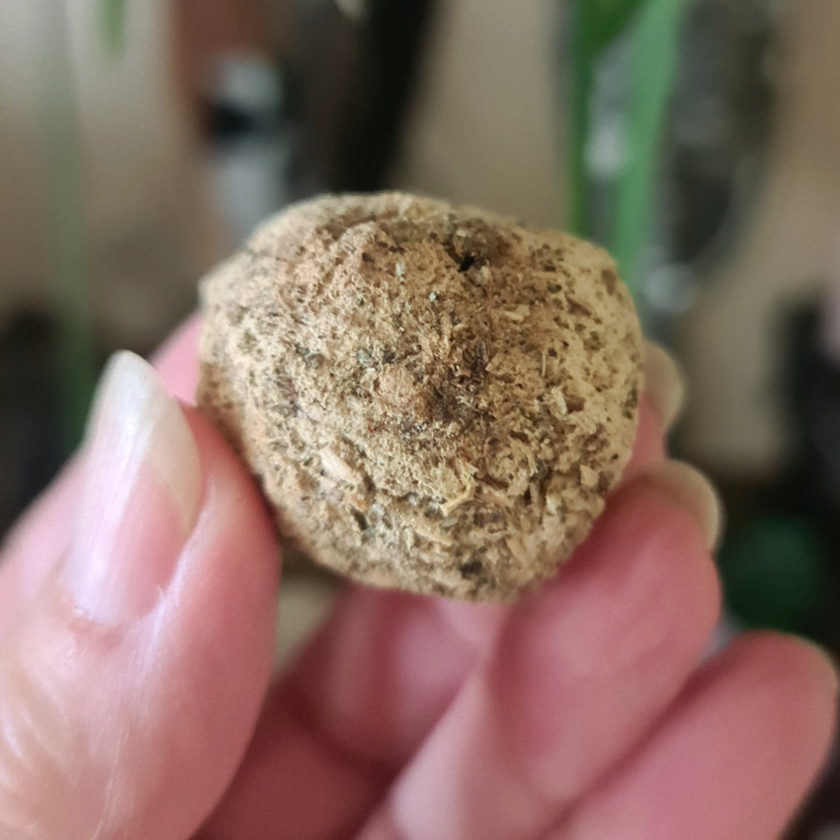 Sage Smudge Bombs