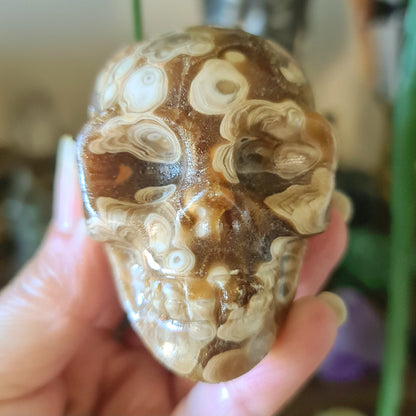 Amber Calcite Skull