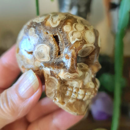 Amber Calcite Skull