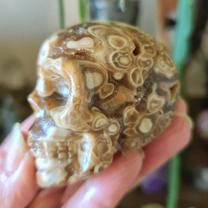 Amber Calcite Skull