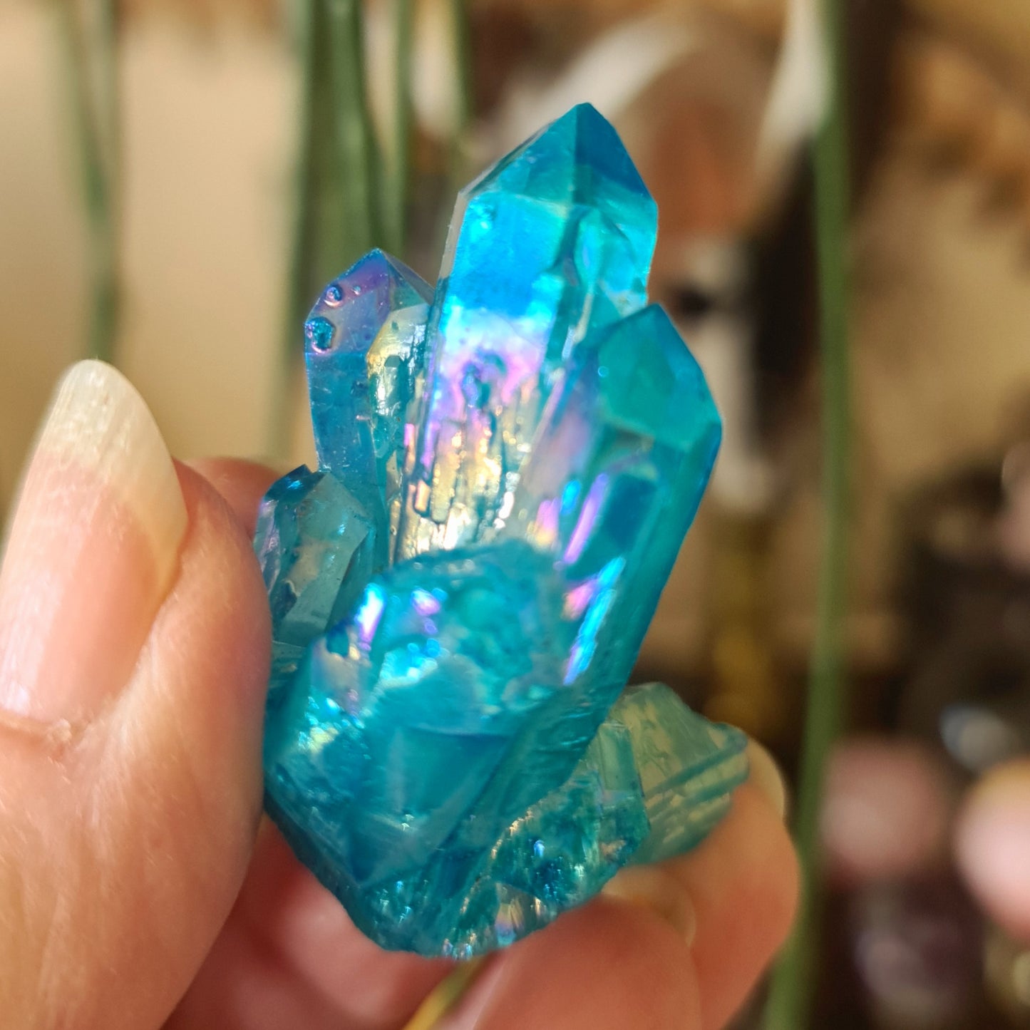 Aqua Aura Clusters - Small