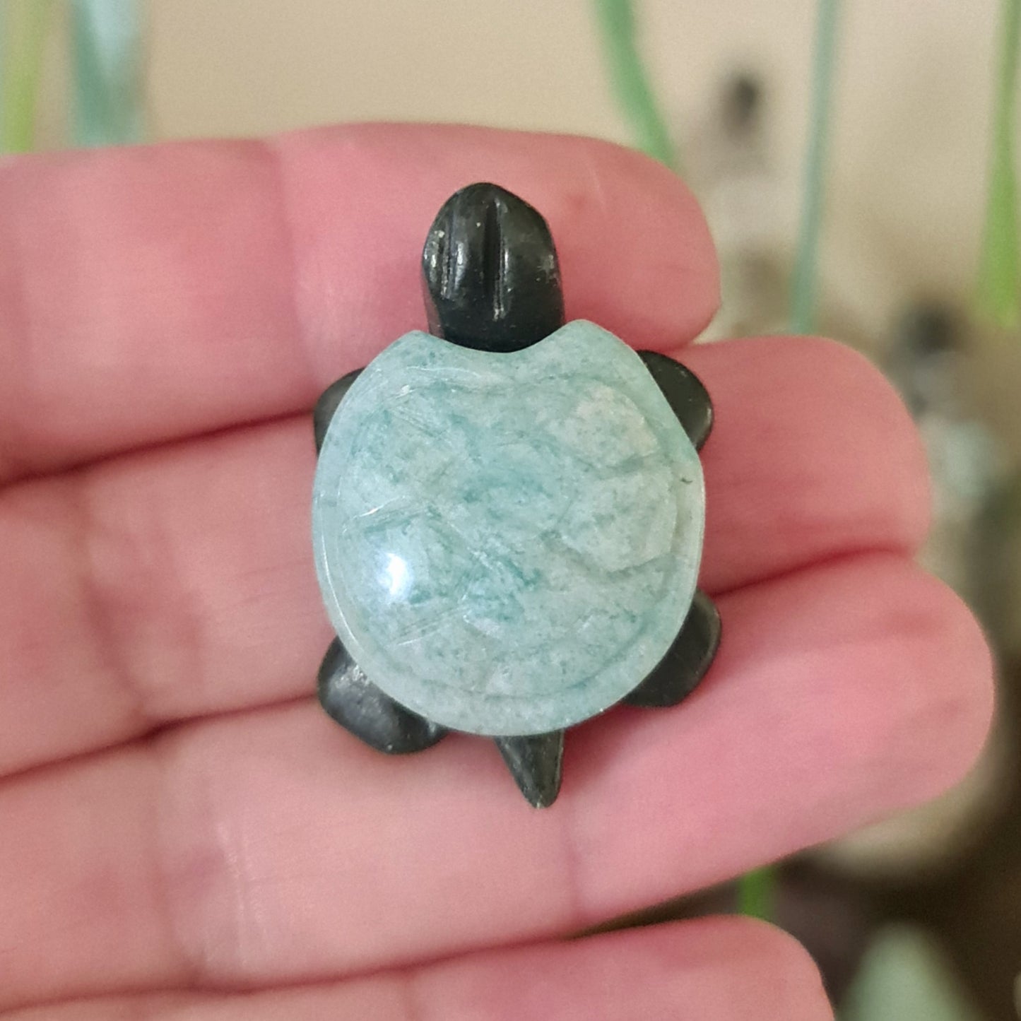 Amazonite Turtle