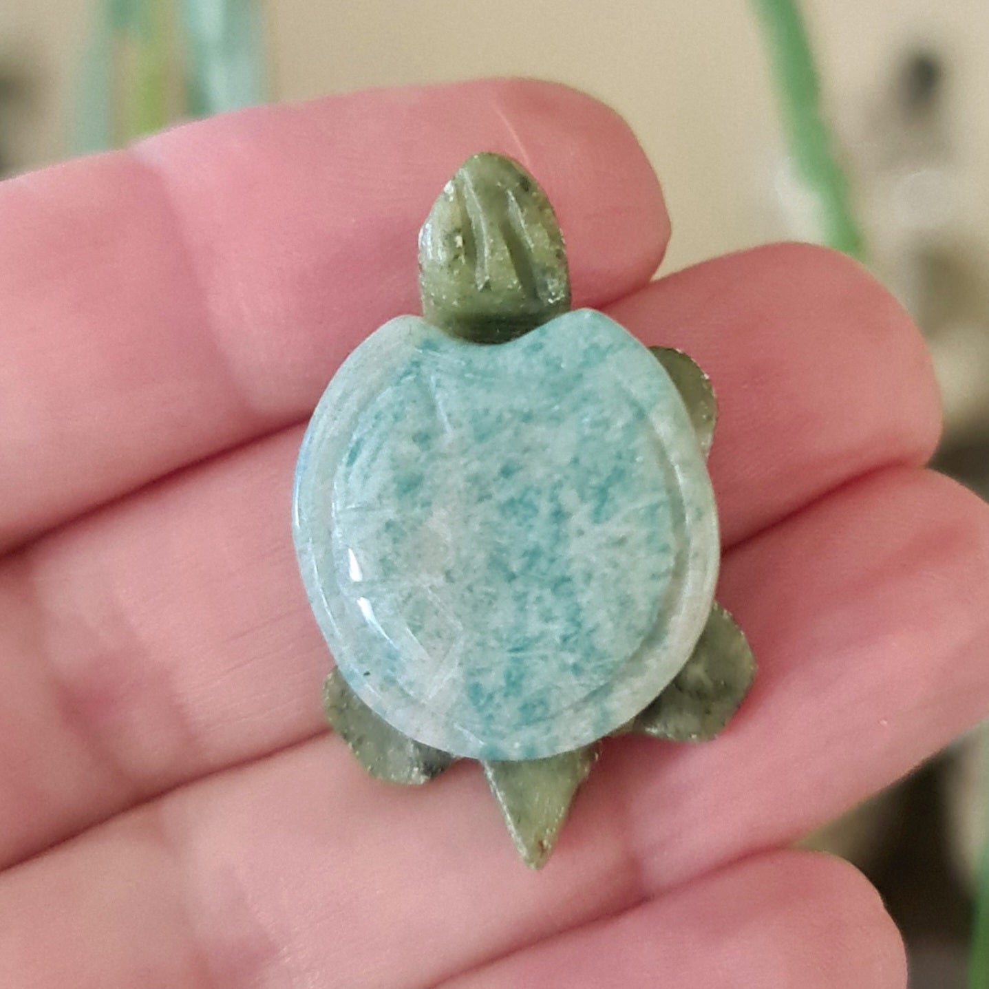 Amazonite Turtle