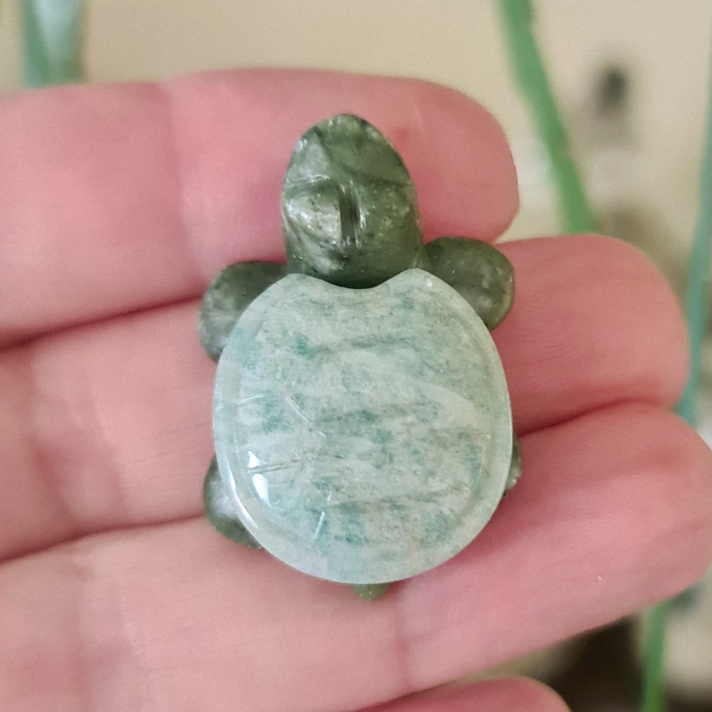 Amazonite Turtle